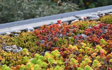 the cost of Muirkirk green roof installation