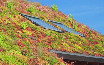 Muirkirk living roof systems