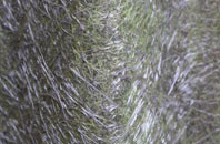 Muirkirk fibreglass roof work